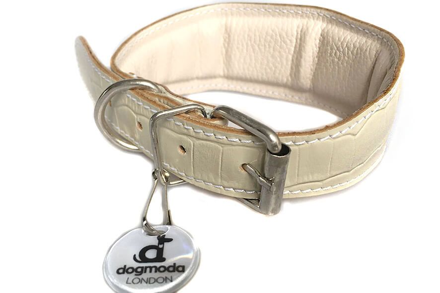 White reptile leather padded Whippet collar - fully lined and padded sighthound leather collar