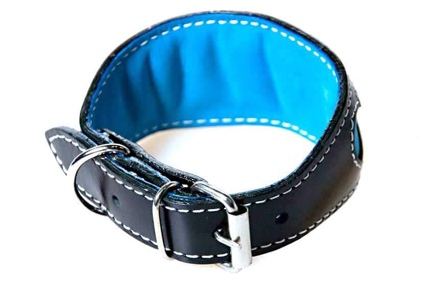 Soft leather padding on all out Whippet puppy collars