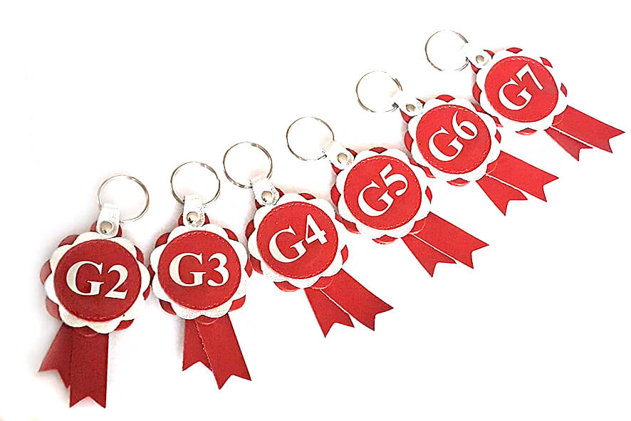 Agility grades leather rosette keyrings in red and silver leather - available for G2, G3, G4, G5, G6 and G7 agility grade