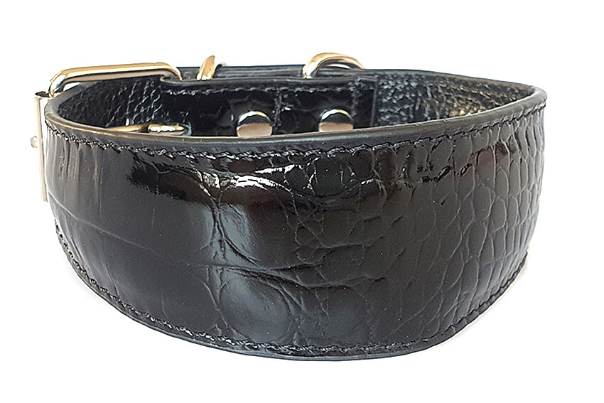 Black leather hound collar with shine and embossed pattern