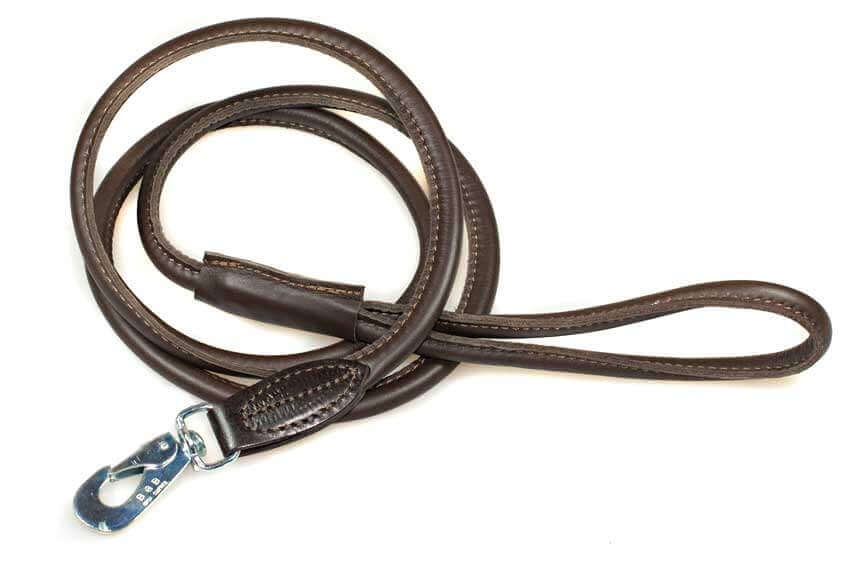 Rolled brown lead to match sky blue hearts hound collar