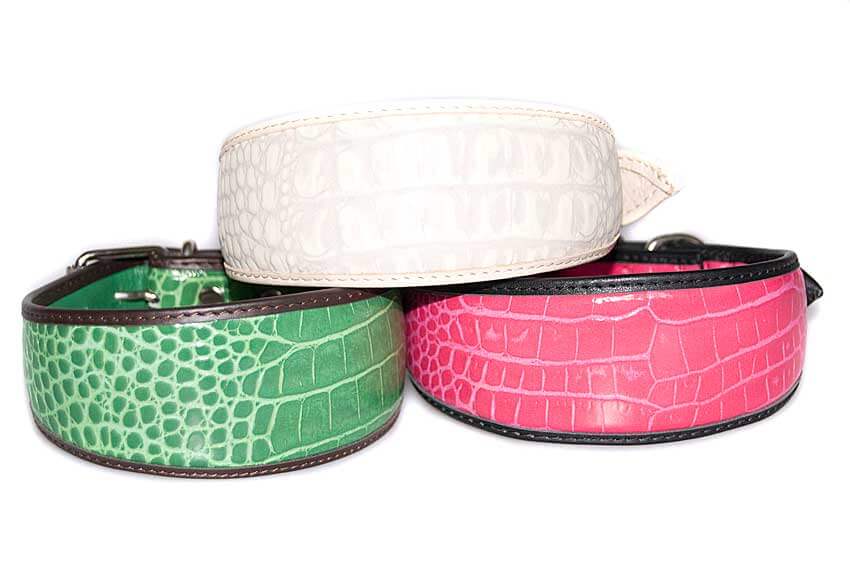 Greyhound collars. Soft, padded and fully lined with soft goat skin leather