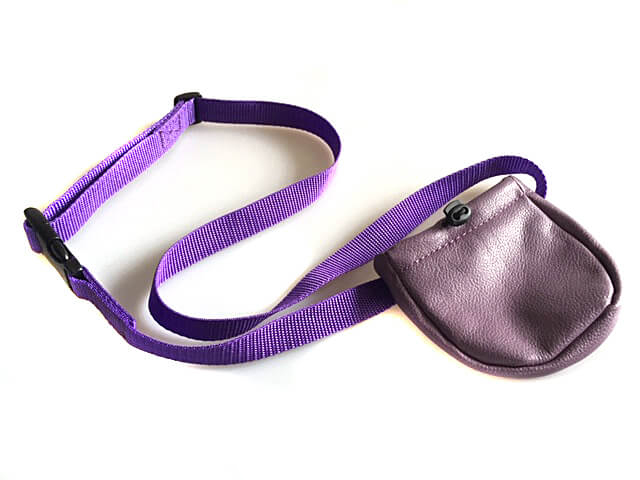 Our leather treat bag in purple