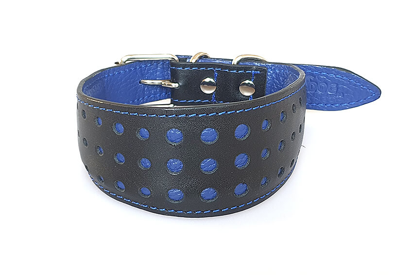 Elegant sighthound collar in blue
