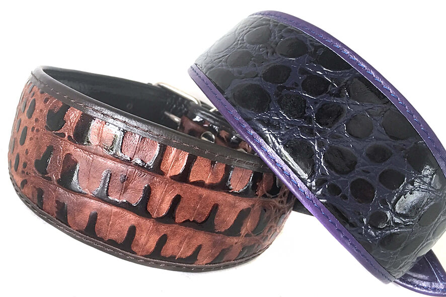 Brown python and purple indigo snake hound collars