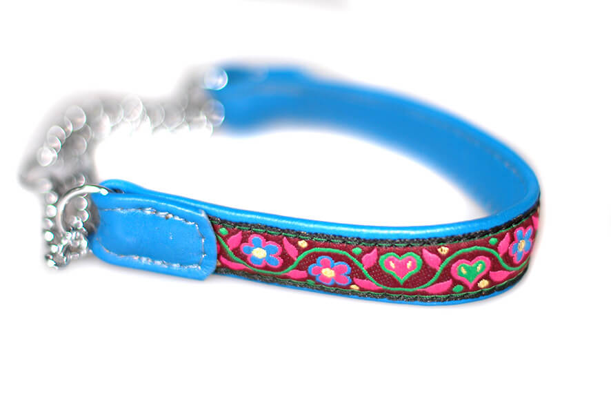 Blue and pink martingale collar